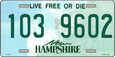 NH license plate 1039602