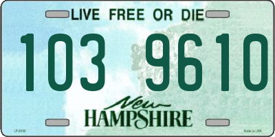 NH license plate 1039610