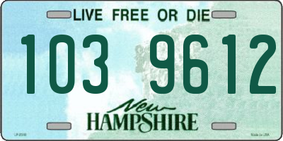 NH license plate 1039612