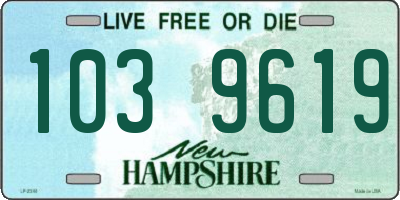 NH license plate 1039619