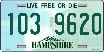 NH license plate 1039620