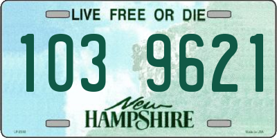 NH license plate 1039621