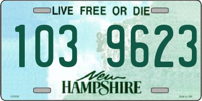 NH license plate 1039623