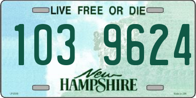 NH license plate 1039624