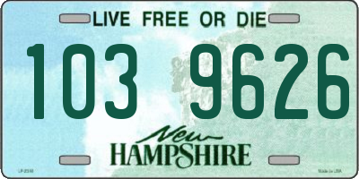NH license plate 1039626