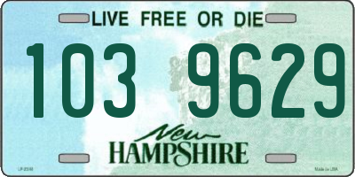 NH license plate 1039629