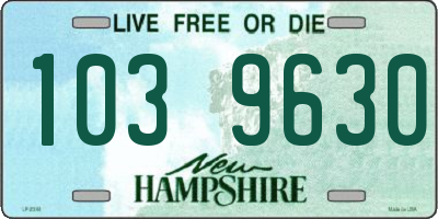 NH license plate 1039630