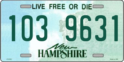 NH license plate 1039631