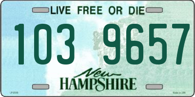 NH license plate 1039657