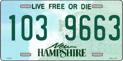 NH license plate 1039663