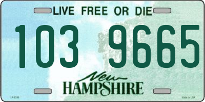 NH license plate 1039665