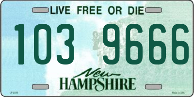 NH license plate 1039666