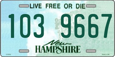 NH license plate 1039667