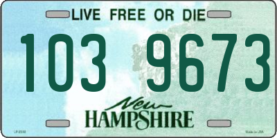 NH license plate 1039673