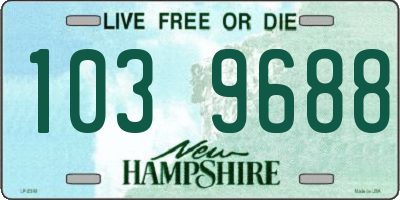 NH license plate 1039688