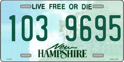 NH license plate 1039695