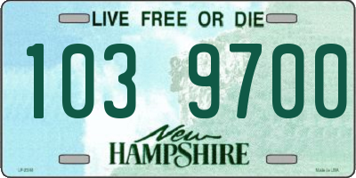 NH license plate 1039700