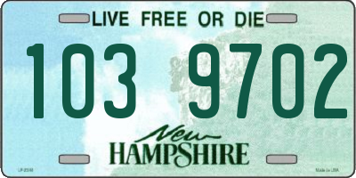 NH license plate 1039702
