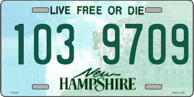 NH license plate 1039709