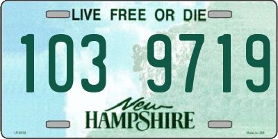 NH license plate 1039719