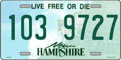 NH license plate 1039727