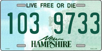 NH license plate 1039733