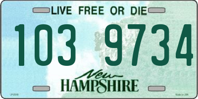 NH license plate 1039734