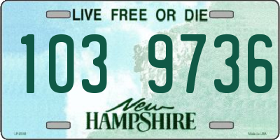 NH license plate 1039736