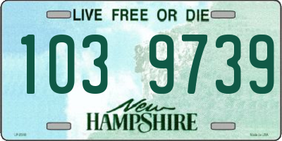 NH license plate 1039739