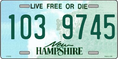 NH license plate 1039745