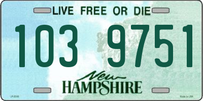 NH license plate 1039751