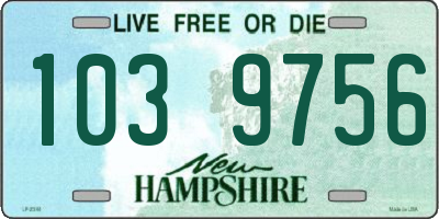 NH license plate 1039756