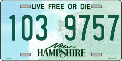 NH license plate 1039757