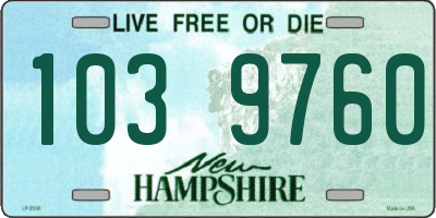 NH license plate 1039760