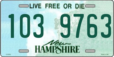 NH license plate 1039763