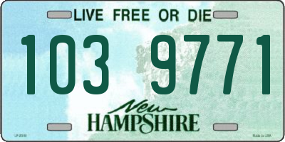 NH license plate 1039771