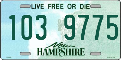 NH license plate 1039775