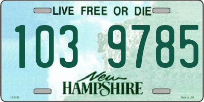 NH license plate 1039785