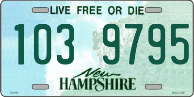 NH license plate 1039795