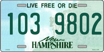 NH license plate 1039802