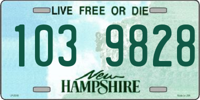 NH license plate 1039828