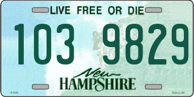 NH license plate 1039829