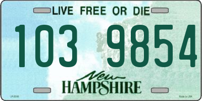 NH license plate 1039854