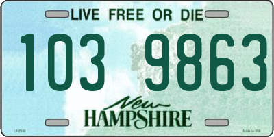 NH license plate 1039863
