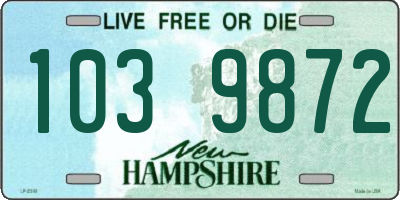 NH license plate 1039872