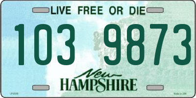 NH license plate 1039873