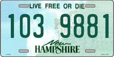 NH license plate 1039881