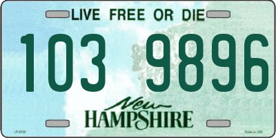 NH license plate 1039896