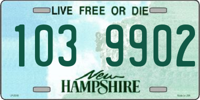 NH license plate 1039902