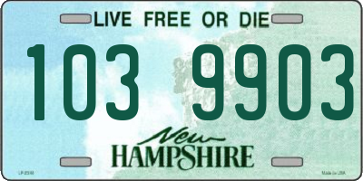 NH license plate 1039903